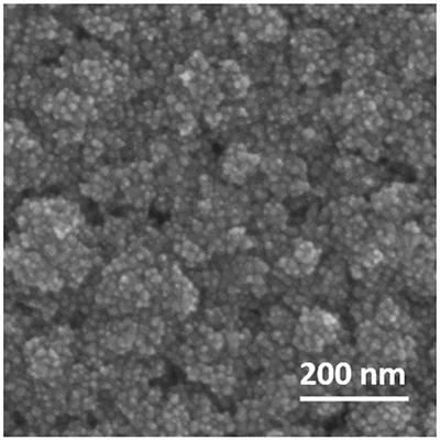 Impact of Metals on (Star)Dust Chemistry: A Laboratory Astrophysics Approach